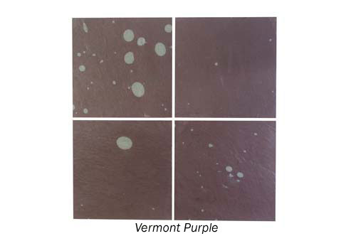 Vermont Purple